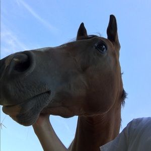 Meet your Posher, Jacob